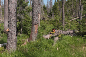 Fotografie místa Na Ztraceném