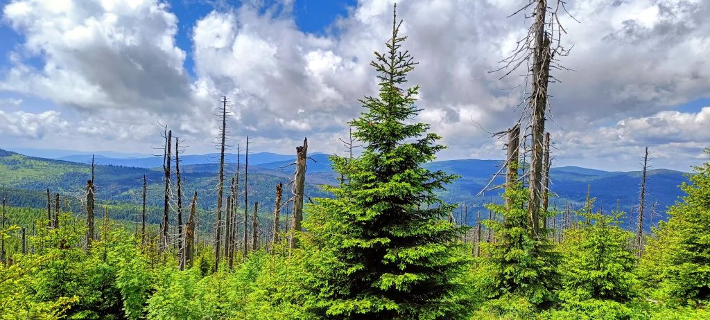 Jak to dnes vypadá na Poledníku