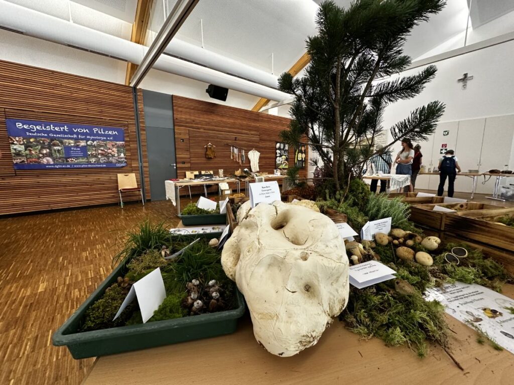 Výstava hub - Německo