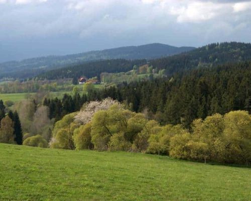 09_sumavsky_rok_2 09_sumavsky_rok_2