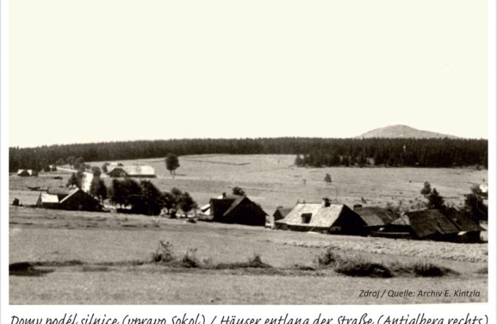 15-Zhuri-Rejstejn-03