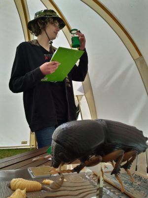 Úvodní fotografie k přírodovědné soutěži - student pozoruje exponát brouka v Becherově lupě.