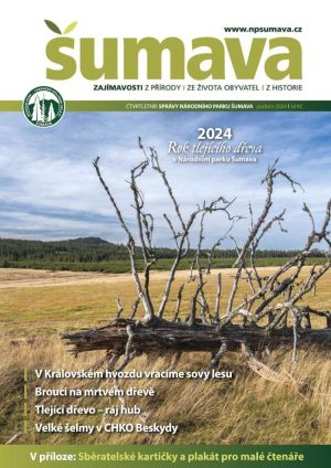 Obálka podzimního čísla časopisu Šumava 2024. Šumavská krajina: v popředí padlý suchý strom, v pozadí zelené lesy.