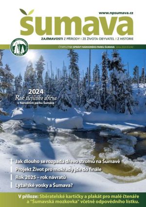 Obálka zimního čísla časopisu Šumava 2024. Na obálce jsou zasněžené stromy, některé suché, jiné zdravé, rostoucí přirozeně bez zásahu člověka.