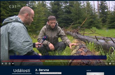 Ukazka z reportáže o obnově šumavských lesů z Událostíchá