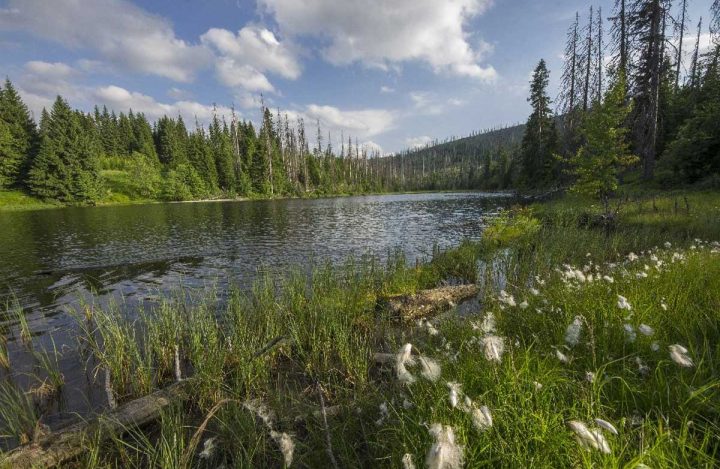 jez-Laka-foto-P.Kavale