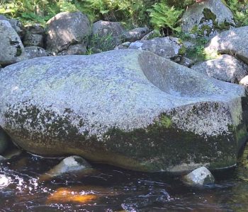 balvan ležící na kraji řeky, ohlazený vodou