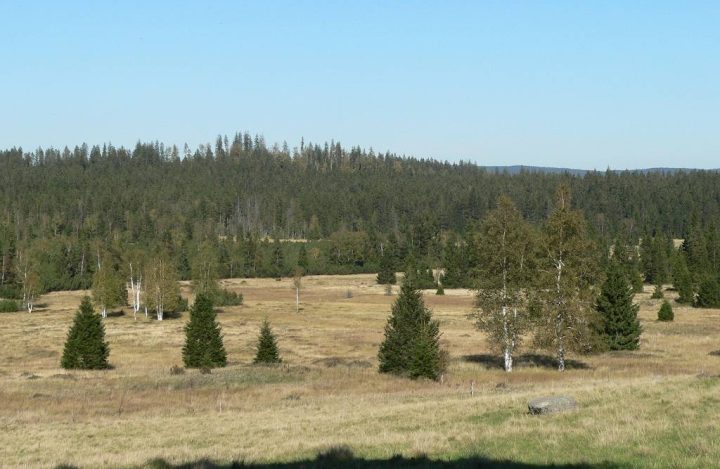 Knizeci Plane 1 - DNES