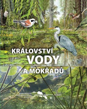 Ilustrovaná obálka knihy „Království vody a mokřadů“ se scénou lesního mokřadu s volavkou popelavou a moudivláčkem lužním sedícím na větvi nad tůní, doplněná o vážku a další vodní vegetaci, v dolní části s podvodním pohledem na listy leknínů a logem Národního parku Šumava uprostřed.