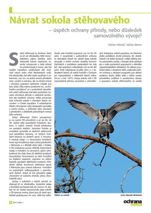 Článek o návratu sokola stěhovavého v časopise Ochrana přírody