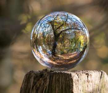 pexels-pixabay-235615