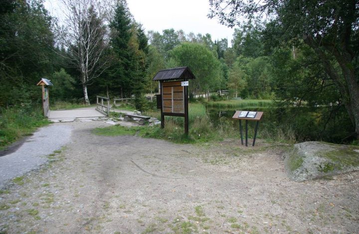 Plesne jezero 1 - DNES