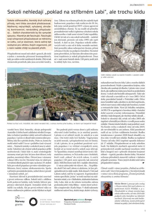 Článek o návratu sokola stěhovavého v časopise Ptačí svět