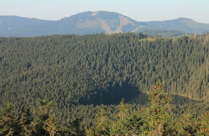 ze Špičáku přes Čertovo jezero na Velký Javor - foto P. Hubený