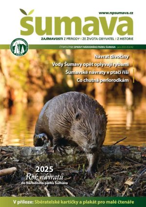 Obálka jarního čísla časopisu Šumava 2025. Na obálce je bobr evropský, který zrovna vylézá z vody přes pokácený strom.