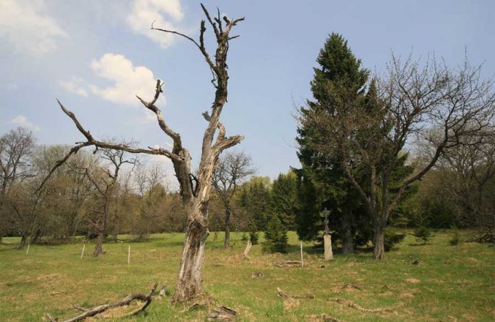 V-Podkove-Šůna-St