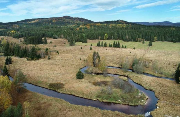 Vltavsky-luh-Kunc-Vladimir