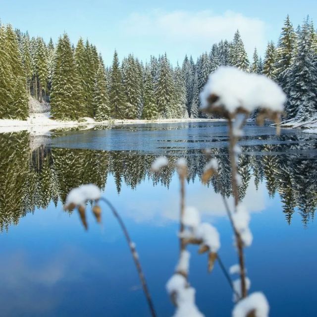 💦 Žďárecké jezírko - Scheureker Schwelle 
Tato uměle vytvořená vodní nádrž na potoce Častá byla vybudována kvůli navyšování stavu vody při plavení dřeva z okolních lesů. 🌲
Nachází se v katastrálním území zaniklé obce Horní Světlé Hory SZ od Strážného.
Jezírko má rozlohu 1,57 ha.
.
Foto: B.Kantor
.
.
.
#zdareckejezirko #sumava #np_sumava #vyletyposumave #sumavsko #fotkyplnekysliku #fotkyprirody #fotkyzesumavy